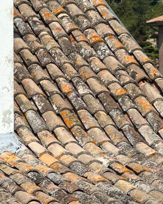 Coppi Antichi Originali in Terracotta
