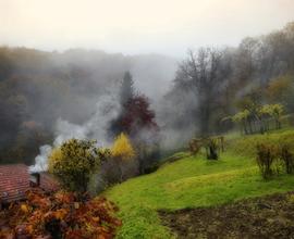 Vendesi terreno coltivabile