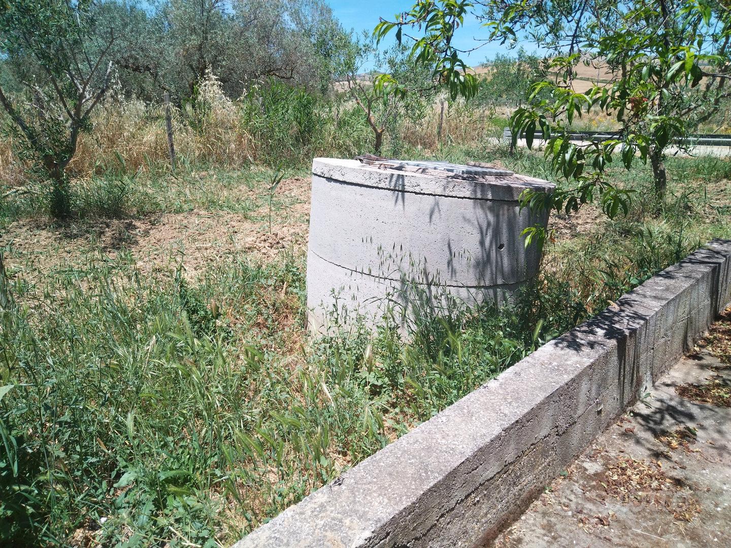 Terreno uliveto seminativo con casa - Vista 2