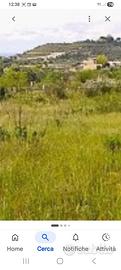 Crabulazzi terreno agricolo con edifibilità