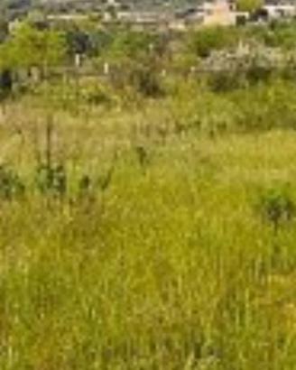Crabulazzi terreno agricolo con edifibilità