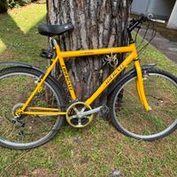Bicicletta LIBERATI , 26”
