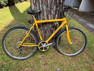 Bicicletta LIBERATI , 26”