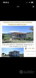 Vendita casa singola da terminare