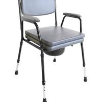 sedia wc per disabili