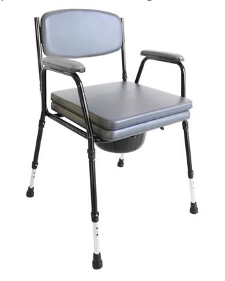 sedia wc per disabili