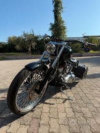 Harley Davidson Softail Custom 1584 cc