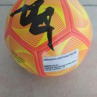 Pallone da calcio