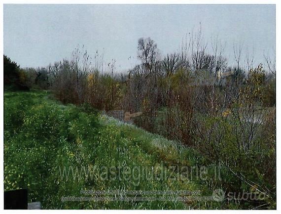 Terreno Agricolo Orte [A4337772] - Altro