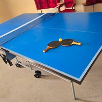 Ping Pong professionale per interno ed esterno