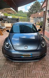 Volkswagen Maggiolino Grigio