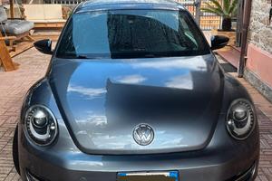 Volkswagen Maggiolino Grigio