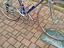 Immagine 4