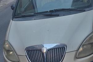 Lancia musa 