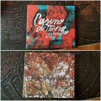 Set 2 cd musica italiana rock, pop, folk nuovi