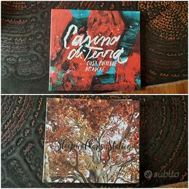 Set 2 cd musica italiana rock, pop, folk nuovi