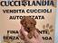 Immagine 5