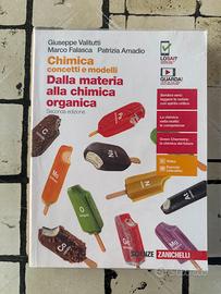 Chimica concetti e modelli