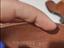 Immagine 6