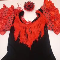 Costume da carnevale Spagnola