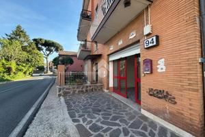 ATTIVITÀ A CASTELNUOVO DI PORTO