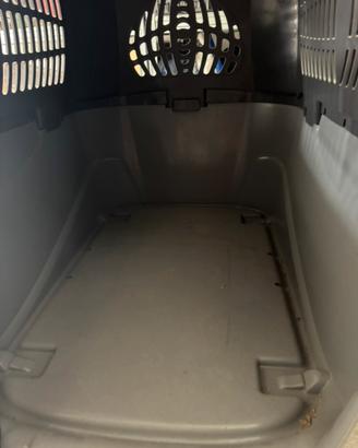 Trasportino/kennel