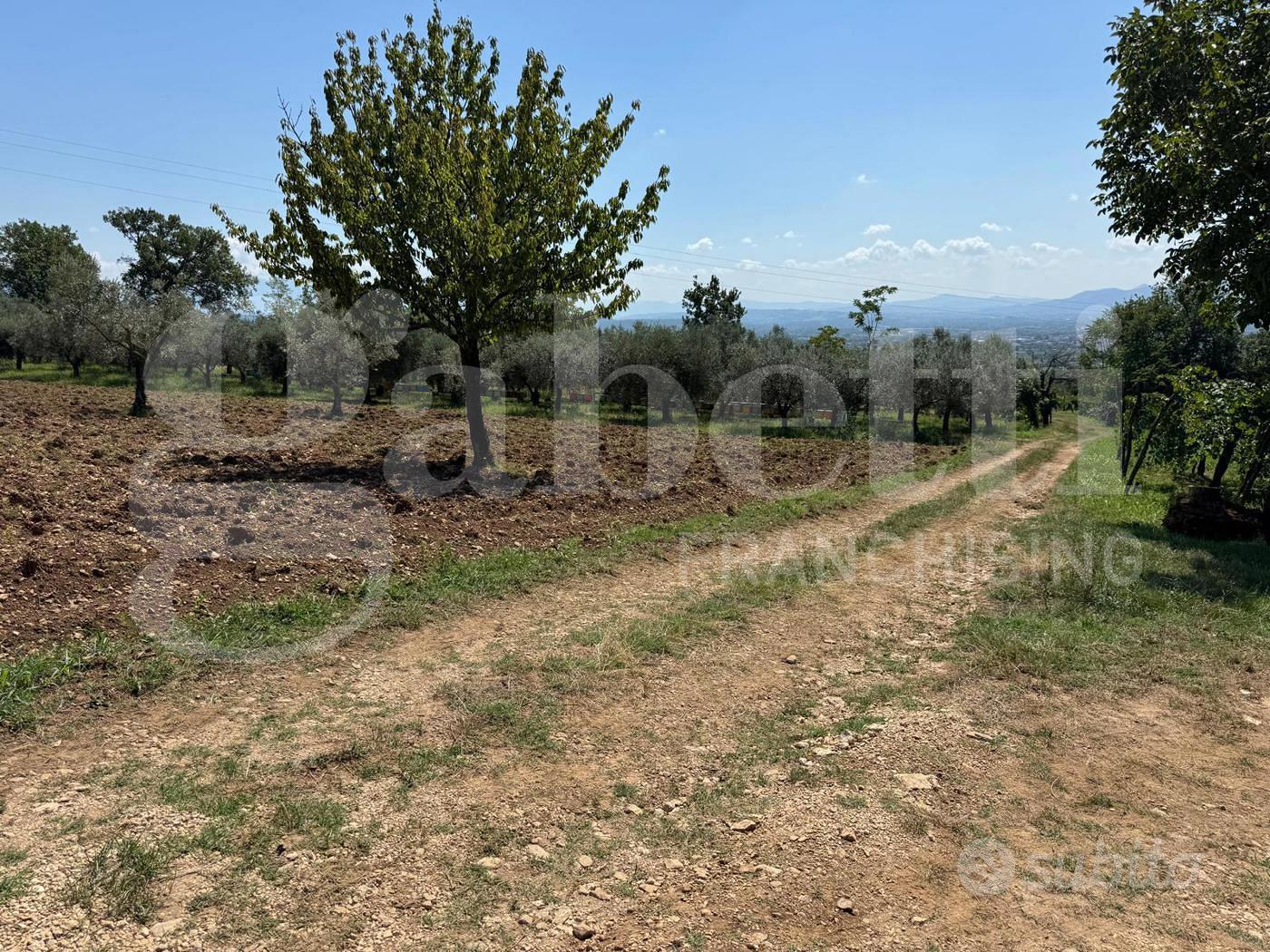 Rustico/Casale/Corte Alife [Cod. rif 3258424VRG] - Altro