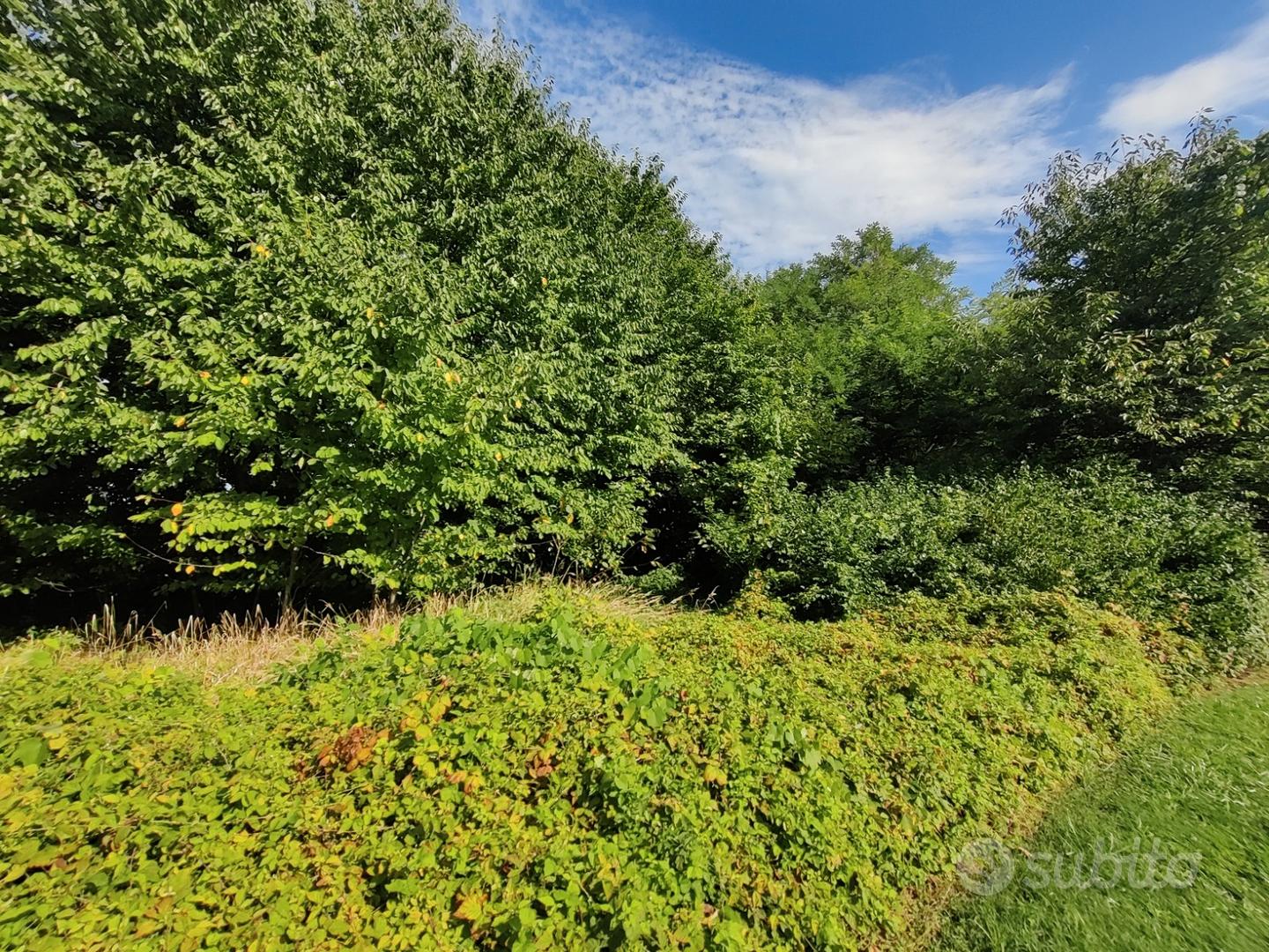 Terreno Agricolo/Residenziale - Vista 2