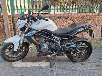 Benelli 302 R - 2017