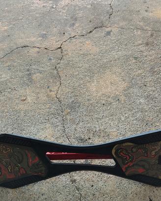 skateboard 2 ruote 