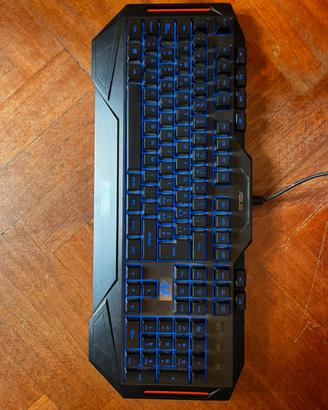 tastier asus