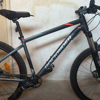 Mtb St900