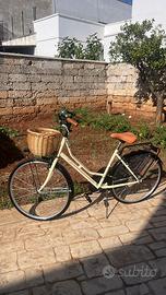 Bicicletta stile olandese