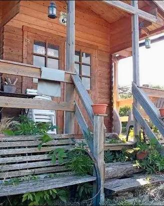 Casetta in legno per giardino