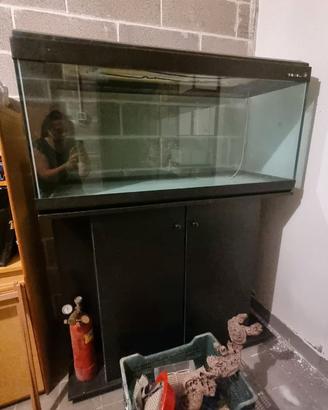 Acquario 300 litri