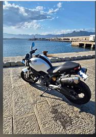 ducati Monster  596