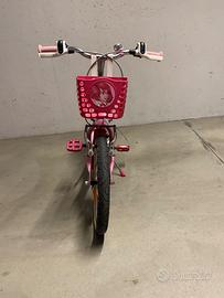 Bicicletta bambina 4-6 anni