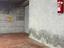 Immagine 22