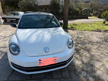 Volawagen Beetle