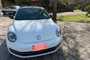 Volawagen Beetle