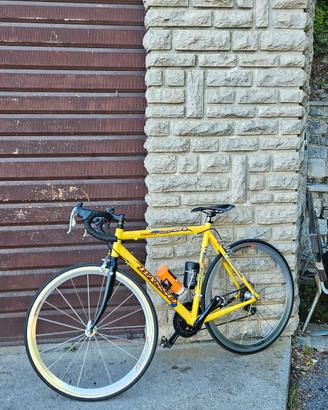 Bici da corsa Basso