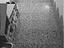 Immagine 16