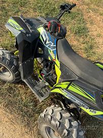 Quad 125 cvm guazzoni commander
