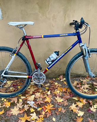 Diamond back shimano xt