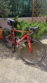 Cannondale Optimo da corsa - Rossa