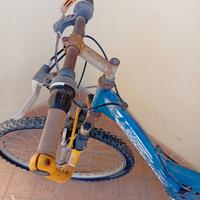 Mountain bike 