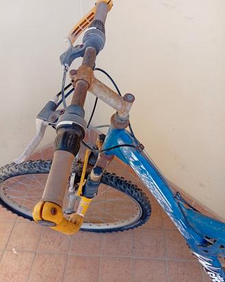 Mountain bike 