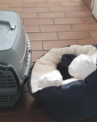 cuccetta e trasportino per gatti/cani piccoli 