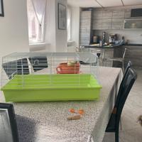 Gabbia conigli/criceti/cavie