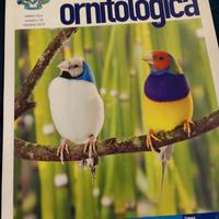 riviste Italia ornitologica